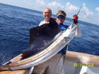 Reid Simmons catches this 65 lb, 6' 6" Sailfish
