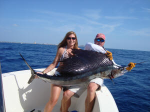 Sailfish catch