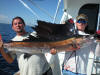 Sailfish caught 8-23-2009